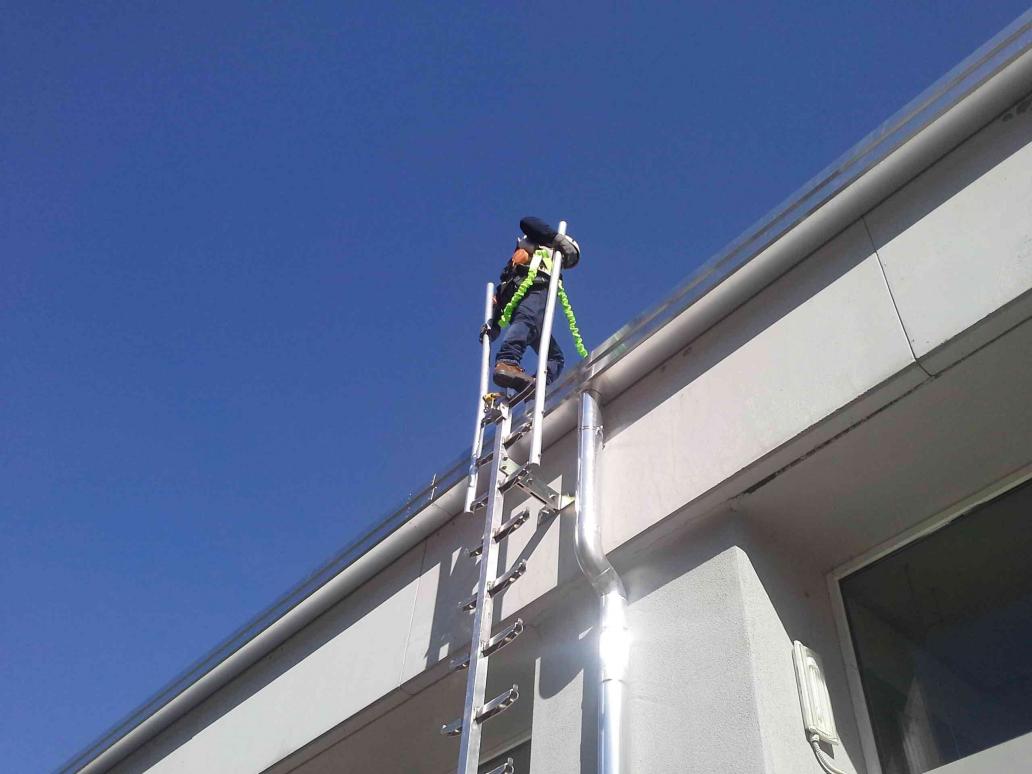 scala anticaduta sicurscale alustair carrello scorrevole 003