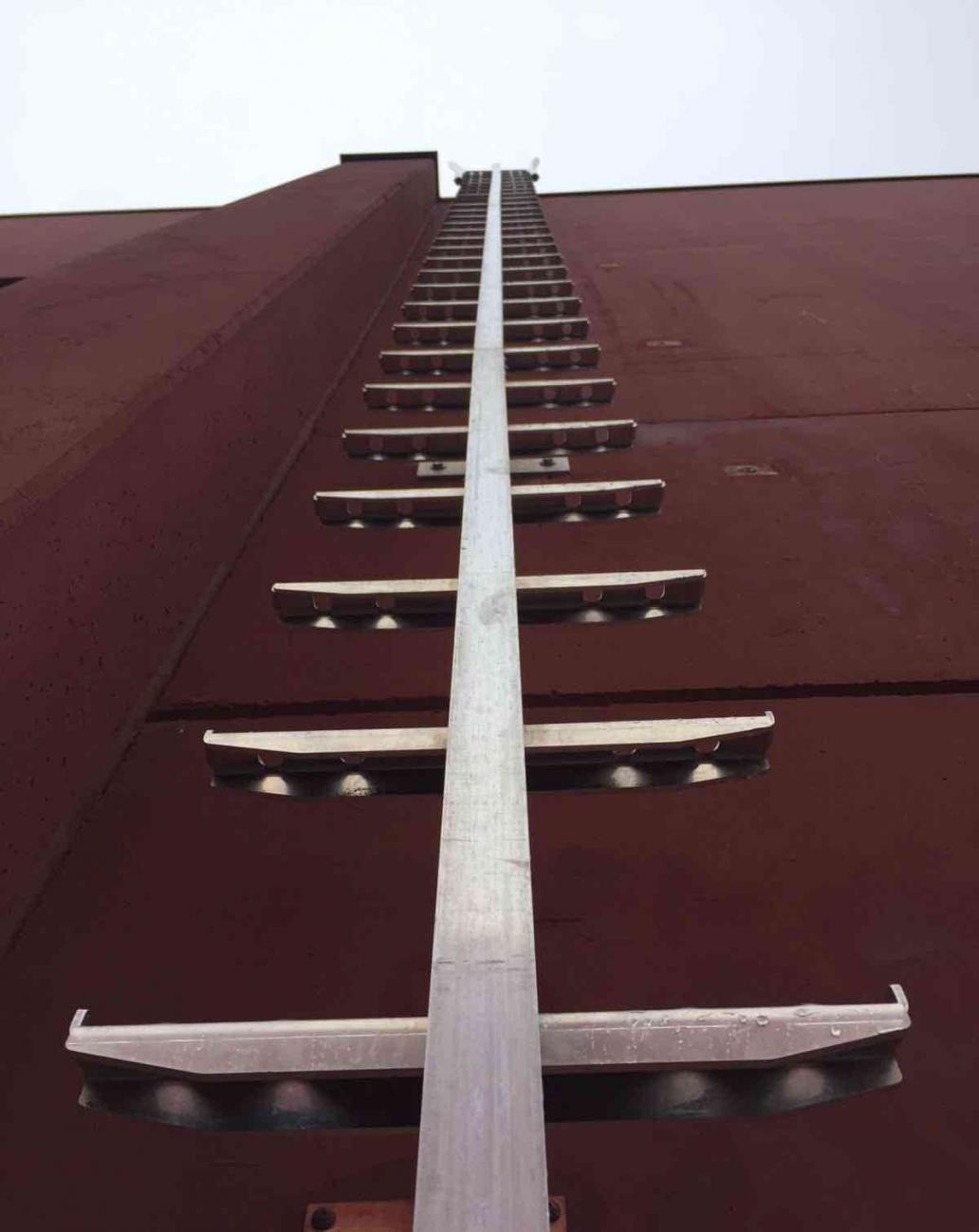 scala anticaduta sicurscale alustair carrello scorrevole 21